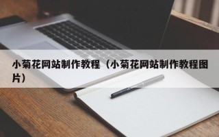 东平小菊花网站制作教程（小菊花网站制作教程图片）